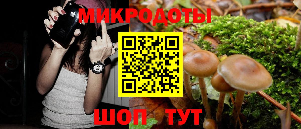 Звенигород  Псилоцибиновые грибы прущие грибы  Вход с VPN 