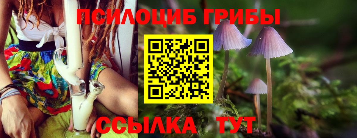 Псилоцибиновые грибы мицелий Звенигород